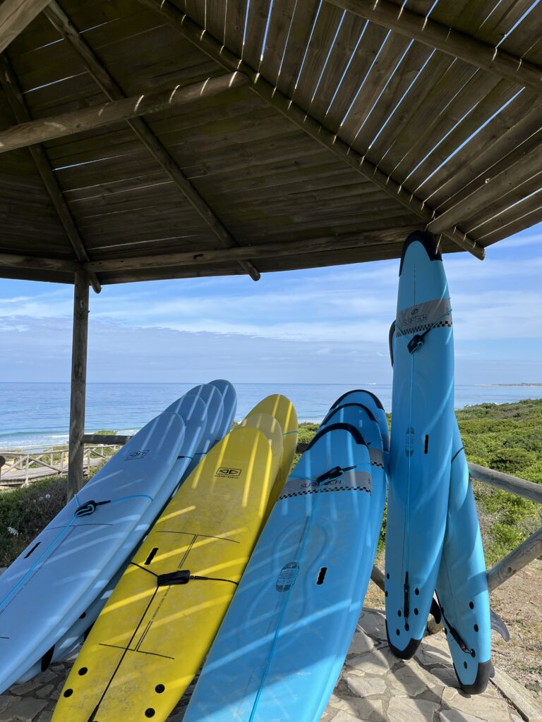 IMG_0708 2 Tablas de surf preparadas en la arena frente al mar en la escuela de surf en Chiclana, Novo Sancti Petri
